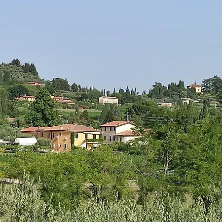 Bedbardolino * باردولينو