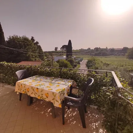 Bedbardolino * باردولينو