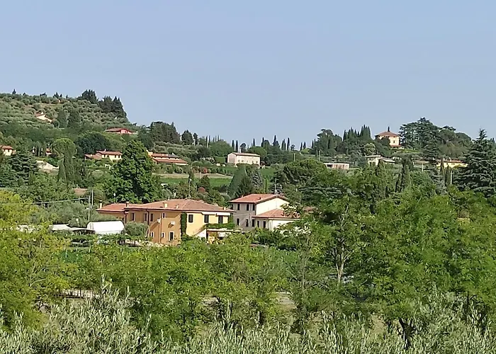 Bedbardolino * Bardolino